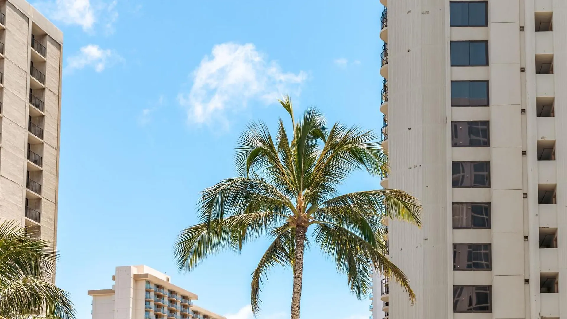 High-Floor Stylish Ocean Views Condo With Parking Honolulu 0*,